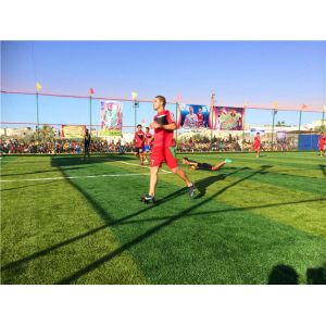 Cheap Decorative Playground Synthetic Grass Indoor / Outdoor High Elasticity for sale