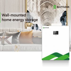 Wall Mounted Or Cabinet / Rack 51.2V 48V LiFePO4 Battery For Solar Home Energy