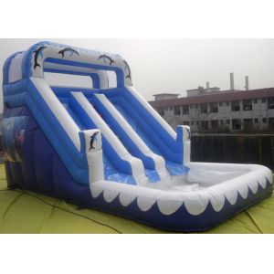 Three lines Inflatable Water Slide With Pool For Kids / Adults Inflatable Slide