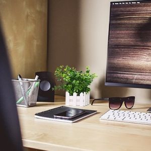 Mini Artificial Potted Floor Plants Plastic Eucalyptus Set For Desk Decoration