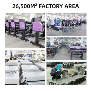 30cm Wide Dual Head DTF Printer for Small Businesses