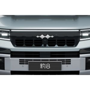 Equation Leopard 8 Chinese Made Car