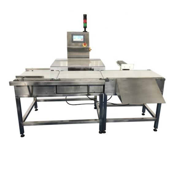 Quality 0.2g Scale Interval In Line Checkweigher With Rejector wholesale