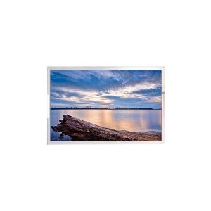 Cheap 24.5 inch DV245QHB-N30 LCD display 2560*1440 LCD Screen for sale