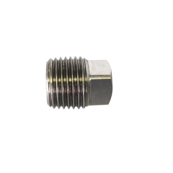 Quality Hydraulic SS316 BS21 DIN2999 Threaded Pipe Plug wholesale