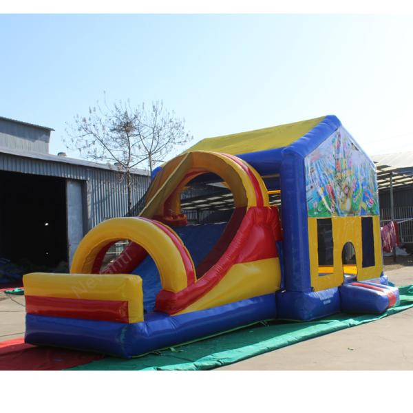 Customized Color Inflatable Water Slide for Unisex Commercial Bouncer and Bouncy Castle