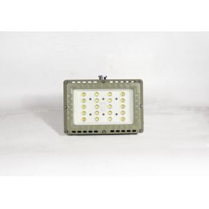 High Durability 50-80W Waterproof And Dustproof IP66 Explosion Proof LED Flood