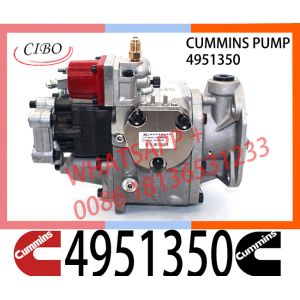 Diesel Engine Fuel System Parts For NTA855-D 4951350 Injector Pump For Cummins