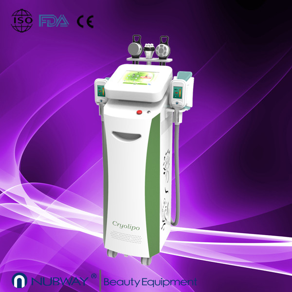 Quality 26% fat removal cryolipolysis freeze machine wholesale