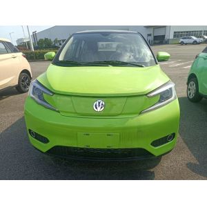 Long Distance Range Electric Utility Vehicle 3.74m Long 5 Doors 4 Seats