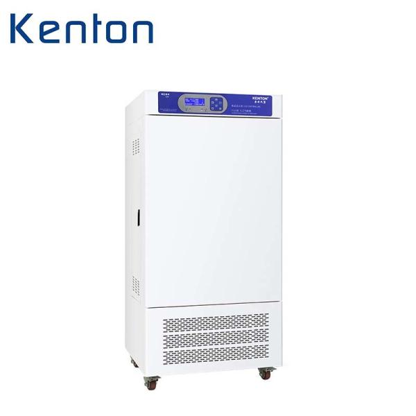 Quality Low High Temperature Humidity Climatic Test Chamber For Laboratory Environmental 250L wholesale