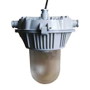 Anti Static Oil Field Explosion Proof Lighting For Hazardous Location Zone 1