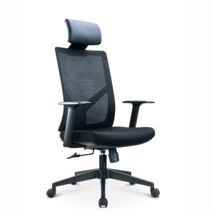 Executive Ergonomic Office Chair with Traditional Design Style and BIFMA