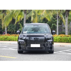 High Performance ZEEKR 009 MPV EV Car Long Range 5 Doors 6 Seater