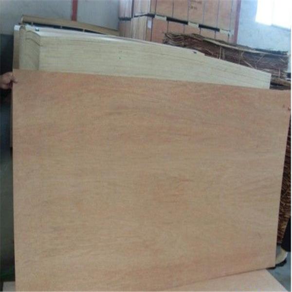 Quality First Class WBP Phenolic 1220×2440mm Bintangor Plywood wholesale