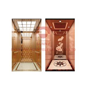 Cheap Home Observation Panoramic Passenger Elevator With Vvvf Control for sale