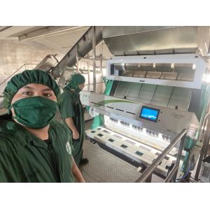 AI Self Learning CCD Optical Multifunction India Garlic Color Sorter High