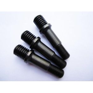 Black Coating CNC Screw Parts in Chromium Steel for Bathroom Partition Hardware