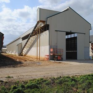 Modular Steel Structure Poultry House with Automated Ventilation