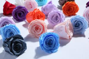 Cheap Factory wholesale real touch high quality multi color natural preserved roses at cheap price Christmas gift for sale