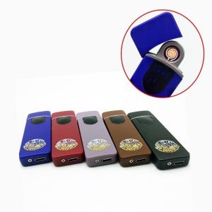 Plastic Rechargeable Windproof Electric Torch Lighter Disposable