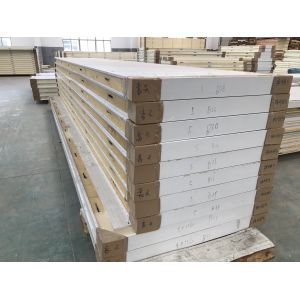 PU Camlock 200mm Thick Blast Freezer Room Panel