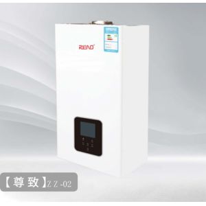 NG Lpg Gas Combi Boiler 20kw Wall Hung Gas Boiler LED Displayer