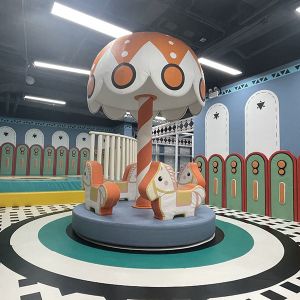 Custom Indoor Play Structures for Kids with ASTM/CE Safety Certification