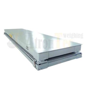 Buffer Electronic Platform Weighing Scale With High Strength Spring