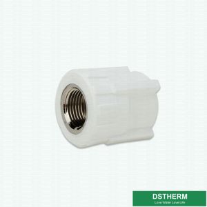 Casting Technics White Ppr Pipe Accessories Female Threaded Coupling