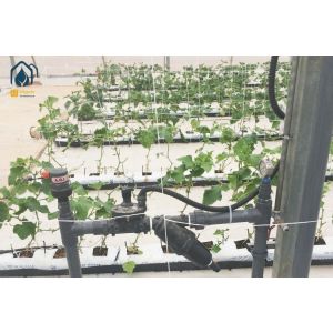 Hydroponics Greenhouse PP Roll Grow Troughs Vegetables Substrate Growing Trough