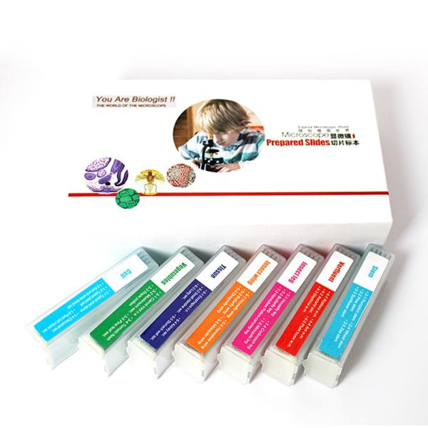 Quality Glass Prepared Microscope Slides 7 Colors 7 Kingdom 35 Items Biological Specimen wholesale