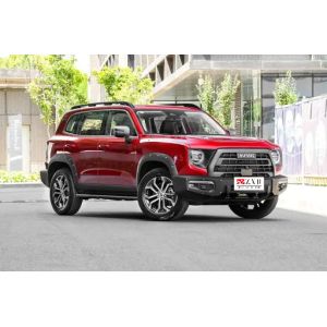 2021 SUV For HAVAL DARGO 1.5T two-wheel drive Border Shepherd model Used Car For