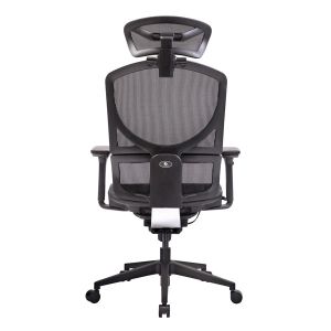 ISEE X Ergonomic Office Chair With Lumbar Support Computer Revolving