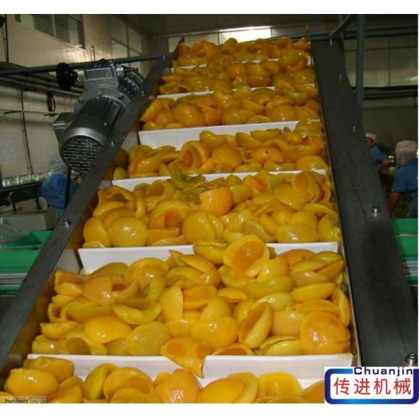 Stainless Steel Elevator Conveyor Belt Conveyor Price for Washing Vegetable and