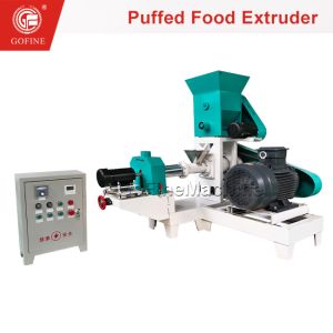 Advanced Snack Food Extrusion Equipment With Double Screw Technology