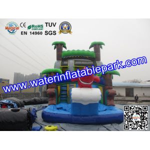 Bounce House Charming Inflatable Slide , Kids Inflatable Water Slides Pool