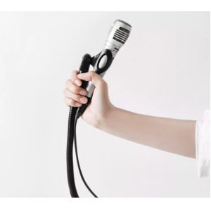 Bendable Flexible Metal Gooseneck Microphone Stand Electroplating 19 Inch