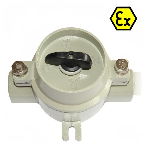 Explosion Proof Switch Advanced Technology for Safe and Durable Operations in