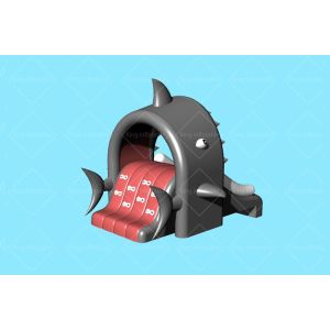 Custom 3.3m*2m Shark Theme Inflatable Water Slide For Kids Swimming Pool