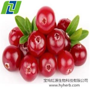 Buy cheap cranberry extract proanthocyanidins 25%-50% from wholesalers