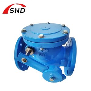 Customized Cast Iron Swing Check Valve Flanged For Liquefied Gas