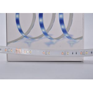 RoHS Bright RGBWW 2m 10w/M 24V LED Strip Light