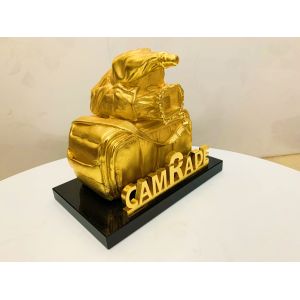 Bags And Cameras Custom Tophy Cup As Souvenirs Or Gifts For Clients