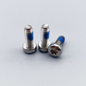 ISO14583 Hexalobular Socket Pan Head Screws