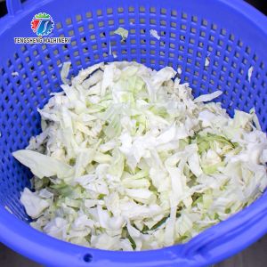 380KG Food and vegetable large capacity dehydrator supply industrial dehydrator