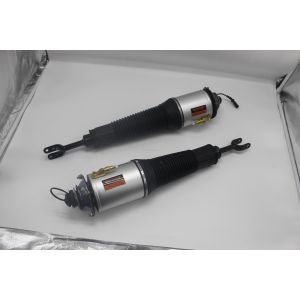 Replace/Repair Shock Absorber 4E0616039 4E0616040 for Audi A8 D3 4E OEM Standard