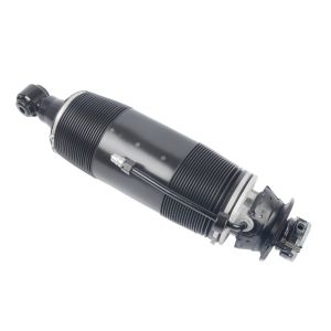 Mercedes Benz Air Suspension Parts ABC Active Body Control Rear L&R For W230