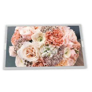 Cheap 30 Pins LVDS 13.3 Inch 1920*1080 G133HAN01.0 Lcd Display Modules with Lcd Controller Board for sale