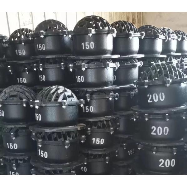 DN150 DN200 cast iron flanged foot valve